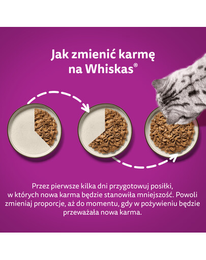 WHISKAS Adult Hovädzie v omáčke 28x85g