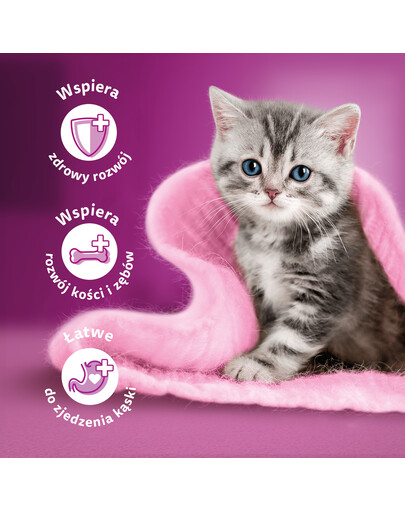 WHISKAS Junior kapsičky pre mačiatka v želé 52x85g