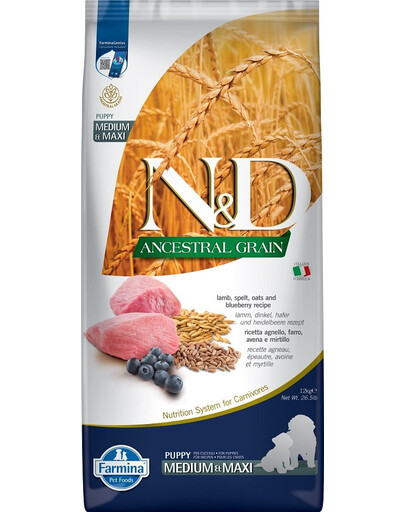 N&D Dog LG puppy medium & maxi lamb & blueberry 12 kg