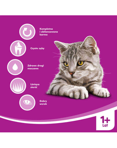 WHISKAS Adult kuracie 300g