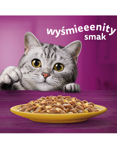 WHISKAS Adult Kuracie v želé 28x85g