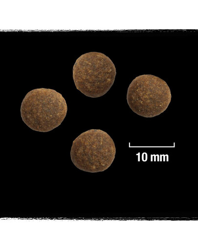 CRAVE Bezzrnné granule s morčacím mäsom a kuracím mäsom pre psov 3 x 2,8 kg