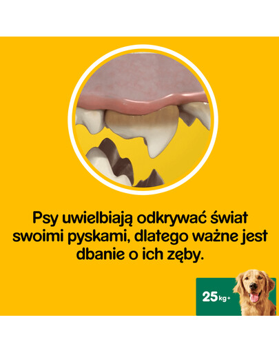 PEDIGREE Dentastix pre veľké plemená 270 g