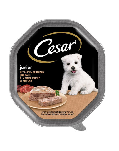 CESAR Junior morčacie a teľacie 150 g