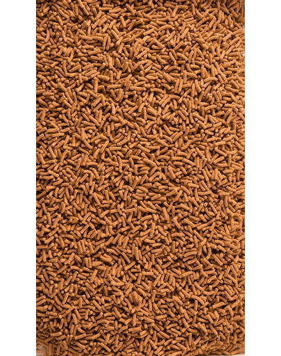 TETRA Pond KOI Sticks 1 L