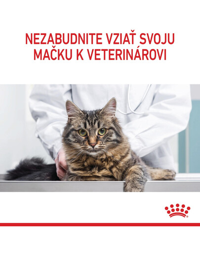 ROYAL CANIN Digestive care 2 kg granule pre mačky na podporu zdravého trávenia