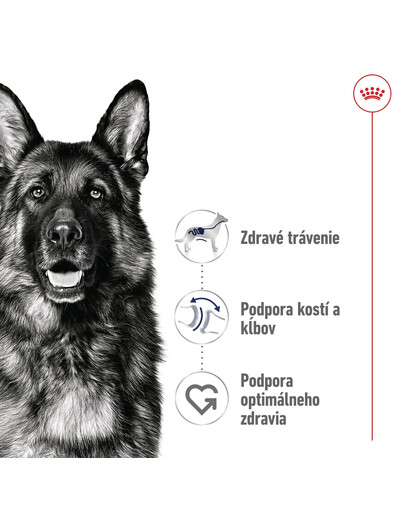 ROYAL CANIN Maxi Adult 4kg granule pre dospelých psov veľkých plemien