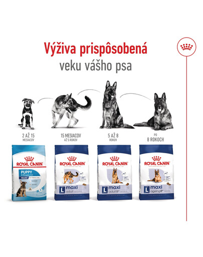 ROYAL CANIN Maxi Adult 4kg granule pre dospelých psov veľkých plemien