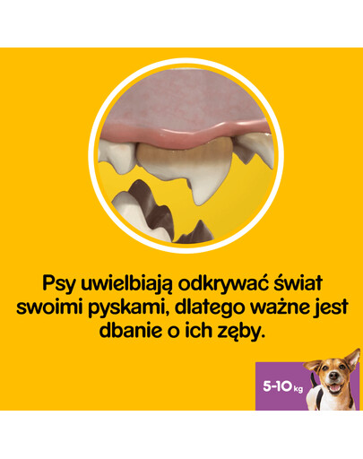 PEDIGREE Denta stix pre malé plemená 4 x 110 g