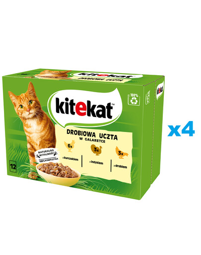 KITEKAT Hydinové hody sáčok 48x85 g kompletné krmivo pre dospelé mačky s kuracím, morčacím a hydinovým mäsom v želé