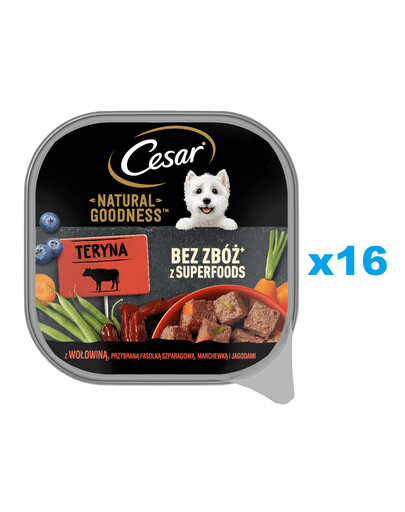 CESAR Natural Goodness Mousse podnos 16x100 g kompletné mokré krmivo pre dospelých psov s hovädzím mäsom, zdobenými zelenými fazuľkami, mrkvou a bobuľovým ovocím