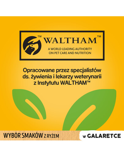 PEDIGREE Pedigree Junior v želé 12x100g