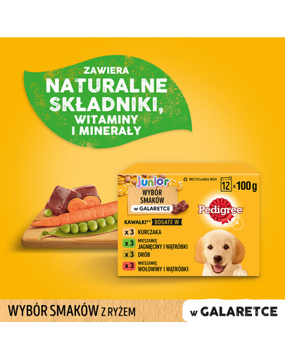 PEDIGREE Pedigree Junior v želé 12x100g