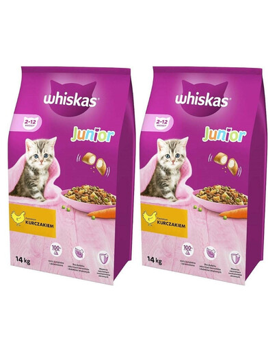 WHISKAS Junior 12x4kg - suché krmivo pre mačky s kuracím mäsom