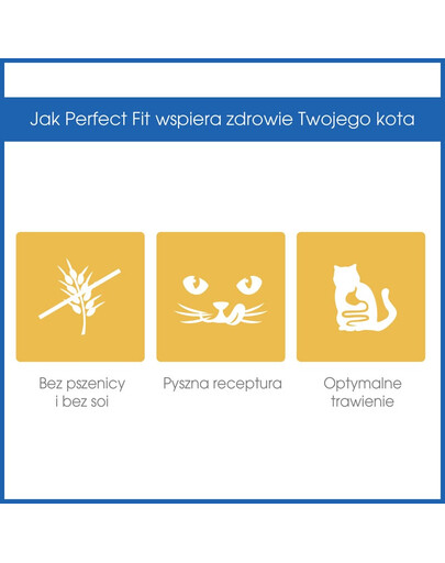 PERFECT FIT Sensitive 1+ bohatý na morčacie 750g