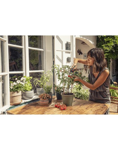 GARDENA Nožnice na bylinky a zeleninu FreshCut