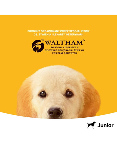 PEDIGREE Konzerva junior kurča v aspiku 400 g