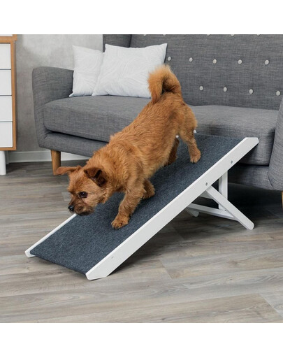 TRIXIE Rampa, výškovo nastaviteľná, 36 × 90 cm