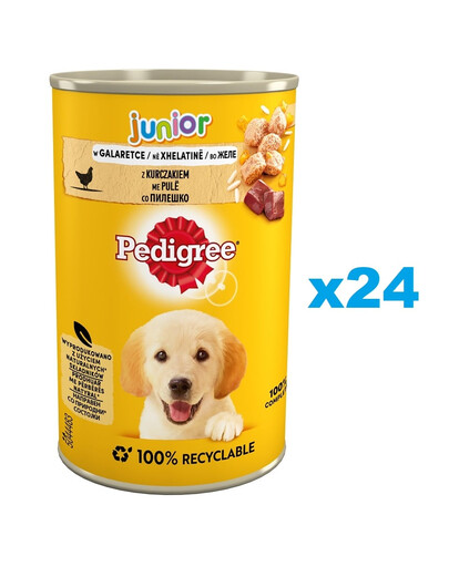PEDIGREE Junior 24x400g mokré kompletné krmivo pre rastúce psy s kuracím mäsom v želé