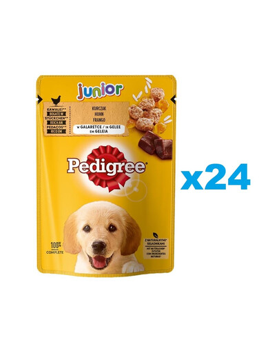 PEDIGREE Junior kapsičky 24x100g mokré krmivo pre šteňatá v kúskoch želé bohaté na kuracie mäso