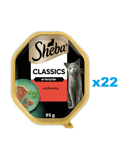 SHEBA Classics vanička 22x85 g kompletné krmivo pre dospelé mačky s hovädzím mäsom vo vaničke