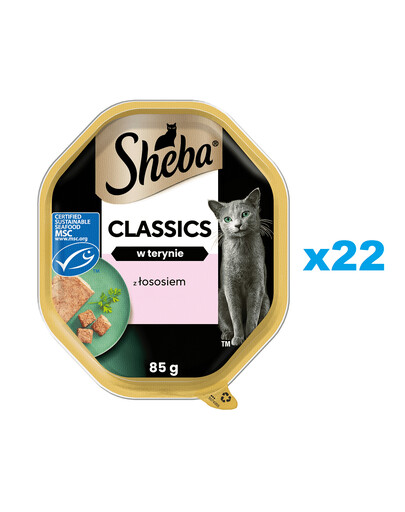 SHEBA Classics vanička 22x85 g kompletné krmivo pre dospelé mačky s lososom vo vaničke