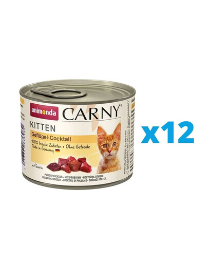 ANIMONDA Carny Kitten zestaw Koktajl Drobiowy 12 x 200 g