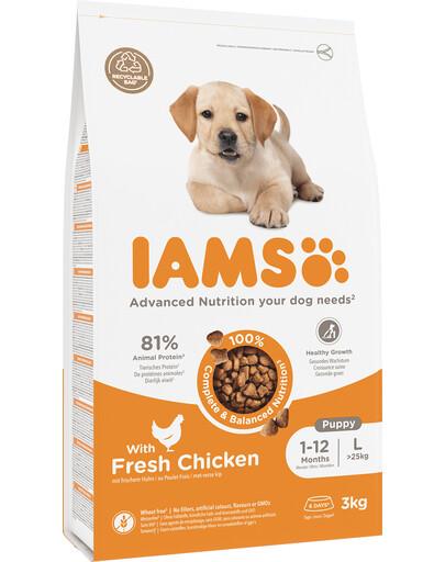 ProActive Health Puppy & Junior Large Breed Chicken 3 kg