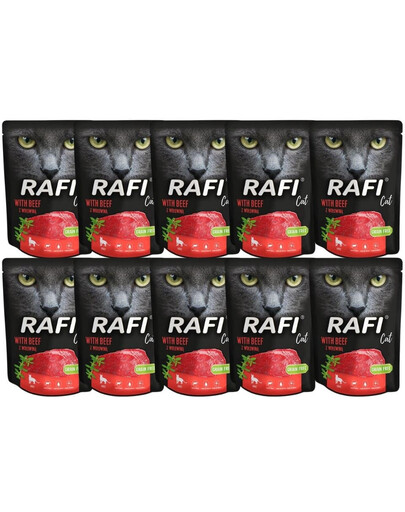 DOLINA NOTECI Rafi Cat mokré krmivo pre mačky s hovädzím mäsom 10x300 g