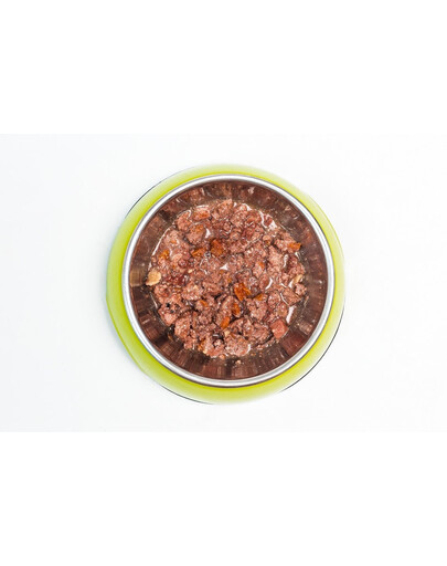 ARUBA Dog Dziczyzna, seler i jagody aronii 100 g