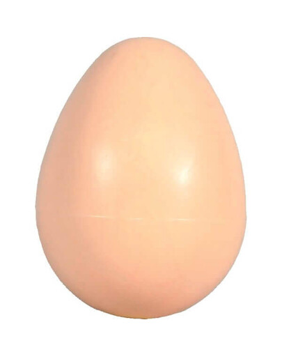 Sztuczne jajo kurze