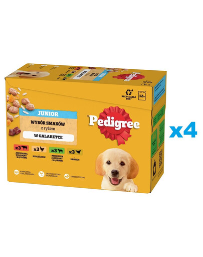 PEDIGREE Junior Wybór smaków z ryżem saszetki 48x100g mokra karma dla szczeniąt w galaretce z kurczakiem, jagnięciną, drobiem i wołowiną