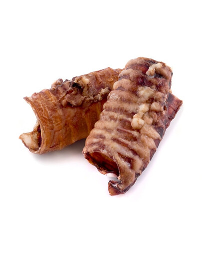 MACED Suszona tchawica wołowa dla psa 100 g