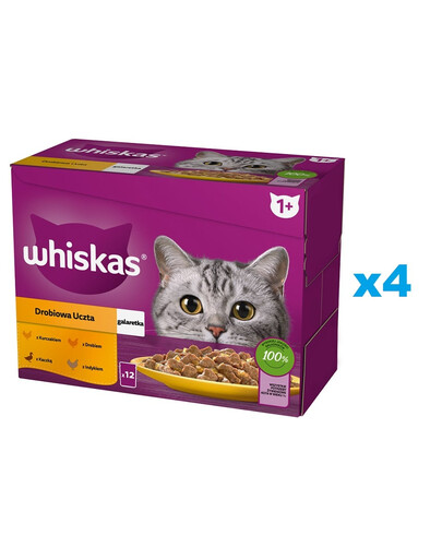 WHISKAS Adult kapsička 48x85g Hydinové krmivo v želé s kuraťom, kačicou, hydinou, morkou