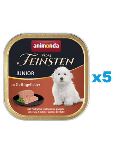 ANIMONDA Vom Feinsten Junior zestaw z wątróbką drobiową 5 x 150 g