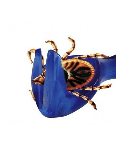 Pęseta Do Wyciągania Kleszczy 6.5 cm