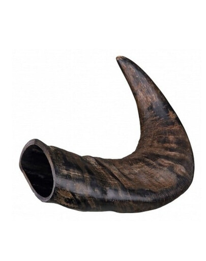 Róg bawoli gryzak duży