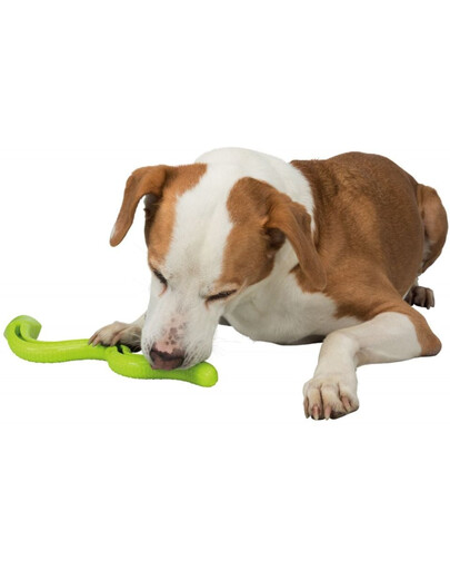 Wąż na smakołyki Snack-Snake, TPR, 42 cm