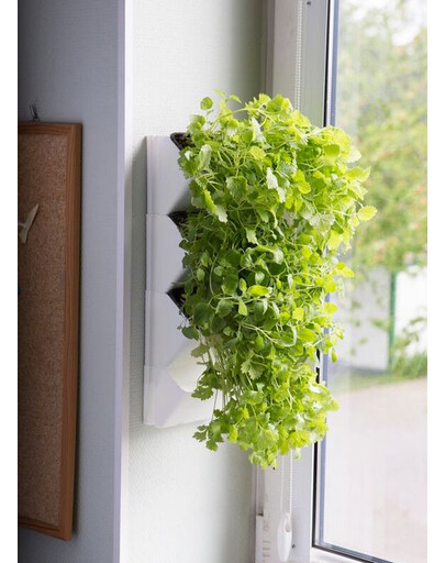 Moduł Ścienny Versa Garden Herbs`