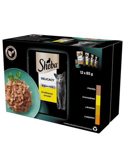 SHEBA Delicacy in Jelly krmivo pre mačky s hydinovou príchuťou v omáčke 12x85g