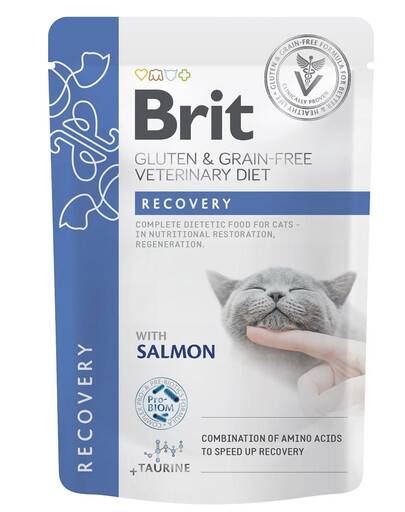 Veterinary Diet Grain Free Recovery Cat Fillets in Gravy Salmon 12x85g dla kotów w okresie rekonwalescencji