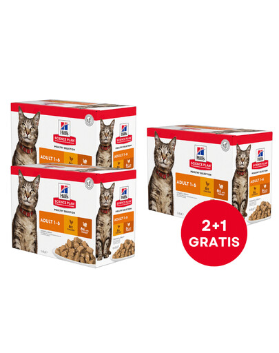 HILL'S Science Plan Feline Adult Multipack Poultry Selection 85 g x12 ks (2+1 ZADARMO)