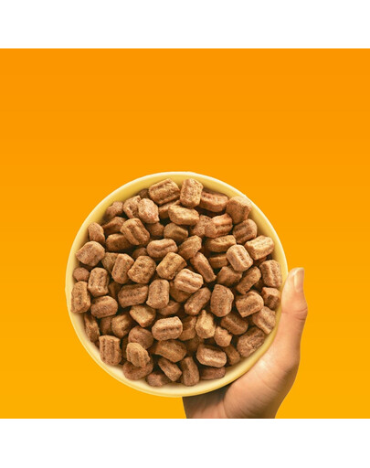 PEDIGREE Professional Nutrition Adult Maxi s hydinovým mäsom a zeleninou 12 kg pre psy veľkých plemien