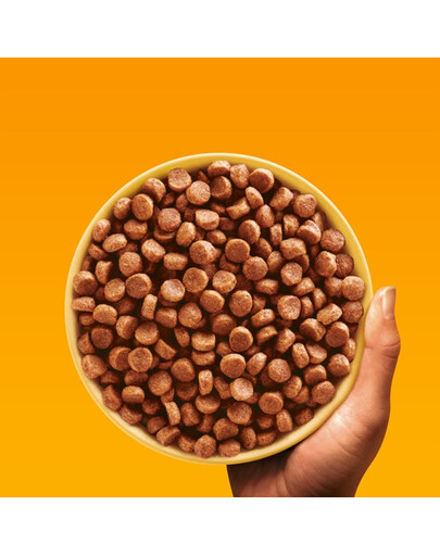 PEDIGREE Professional Nutrition Junior s Hydinou a Zeleninou 12 kg pre šteniatka stredných a veľkých plemien