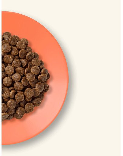 APPLAWS Chicken and Salmon karma bezzbożowa z kurczakiem i łososiem 7.5 kg