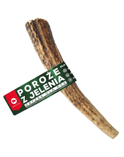 MACED Jelenie parožie L