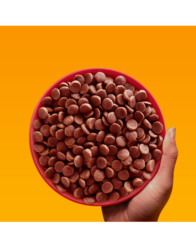 PEDIGREE Professional Nutrition Adult Mini z Wołowiną i Warzywami 12 kg dla psów małych ras