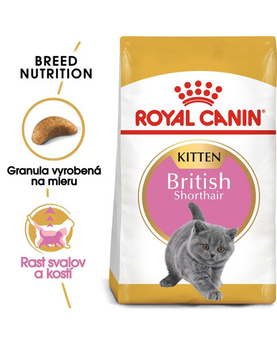 ROYAL CANIN British Shorthair Kitten 12x400 g krmivo pre mačiatka, do 12 mesiacov pre plemeno Britská krátkosrstá mačka