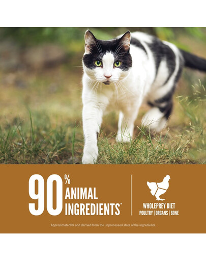 ORIJEN Original Cat 5,4 kg