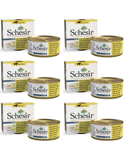 SCHESIR Fruit kurčak s ananásom 6x150 g